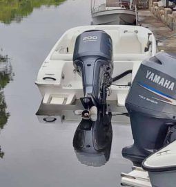 BLACK JACK SPORT 21 full
