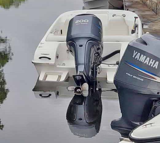 BLACK JACK SPORT 21 full