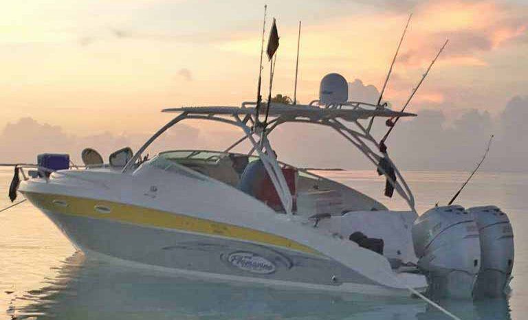 
								PROMARINE EXPRESS 34 full									