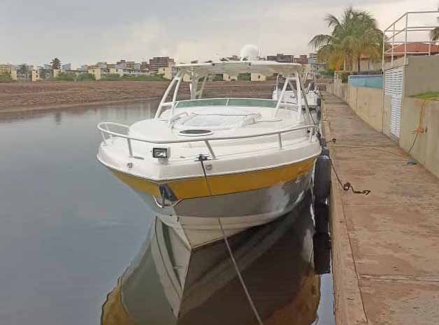 
								PROMARINE EXPRESS 34 full									