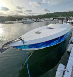 
										BLACK JACK 31.2 full									