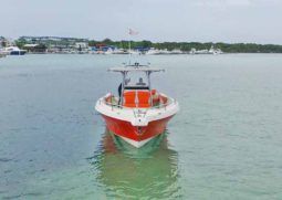 PROMARINE OPEN 33 full