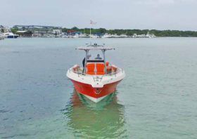 PROMARINE OPEN 33