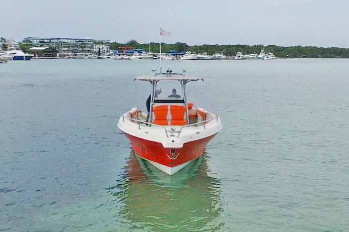 PROMARINE OPEN 33 full