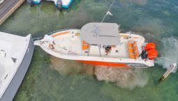 PROMARINE OPEN 33 full