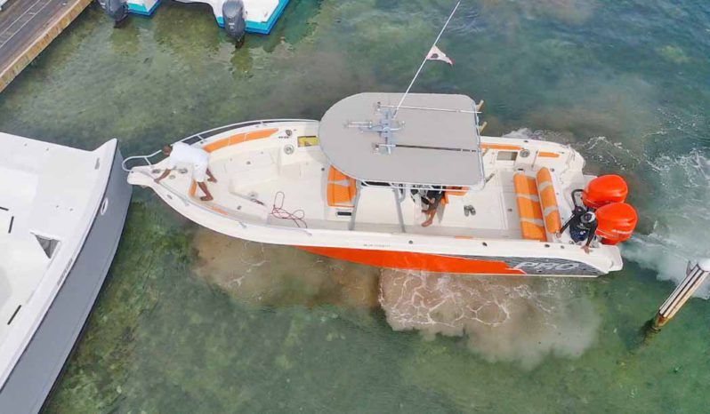 PROMARINE OPEN 33 full