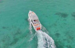 PROMARINE OPEN 33 full