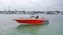 PROMARINE OPEN 33 full