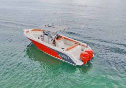 PROMARINE OPEN 33 full