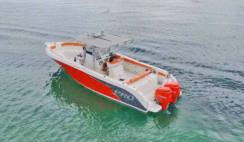 PROMARINE OPEN 33 full