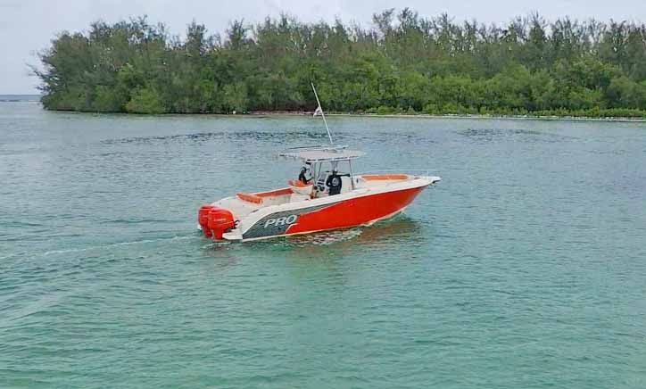 PROMARINE OPEN 33 full