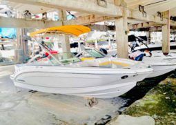 
										CHAPARRAL SSI 226 22.6 full									