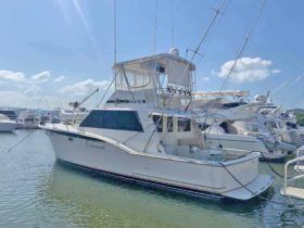 HATTERAS CONVERTIBLE 45