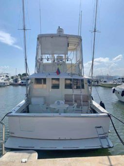 
										HATTERAS CONVERTIBLE 45 full									