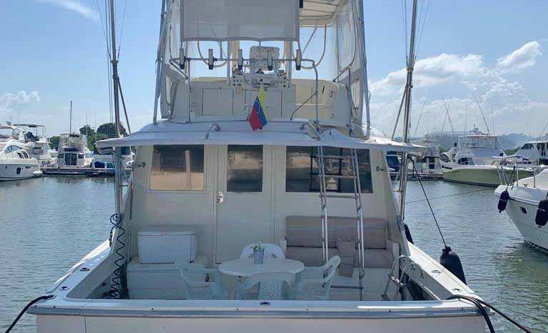 
								HATTERAS CONVERTIBLE 45 full									