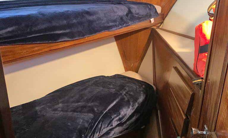 
								HATTERAS CONVERTIBLE 45 full									