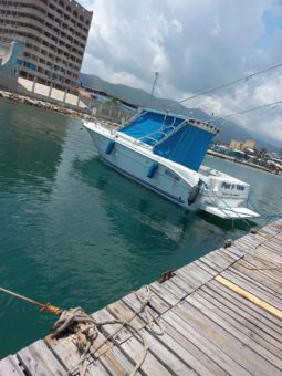 SEA RAY LAGUNA 29