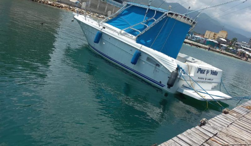 
								SEA RAY LAGUNA 29 full									