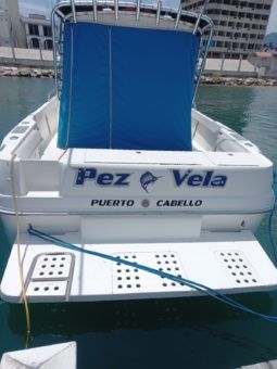 SEA RAY LAGUNA 29