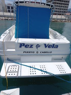 SEA RAY LAGUNA 29