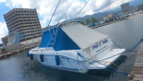 SEA RAY LAGUNA 29