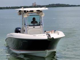 WELLCRAFT SCARAB 30