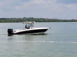
										WELLCRAFT SCARAB 30 full									