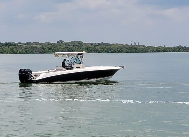 
								WELLCRAFT SCARAB 30 full									