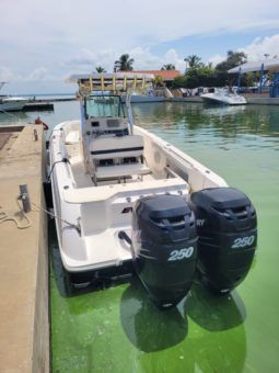
										WELLCRAFT SCARAB 30 full									