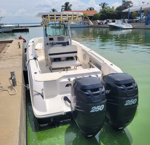 
								WELLCRAFT SCARAB 30 full									