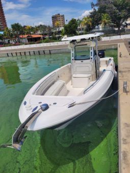
										WELLCRAFT SCARAB 30 full									