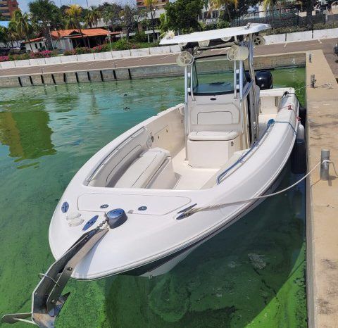 
								WELLCRAFT SCARAB 30 full									