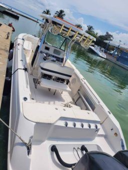 
										WELLCRAFT SCARAB 30 full									