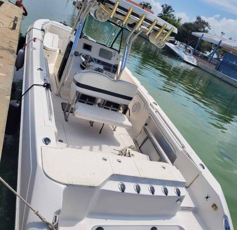 
								WELLCRAFT SCARAB 30 full									