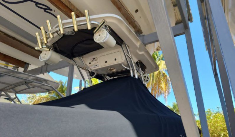
								WELLCRAFT SCARAB 30 full									