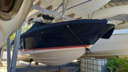 
										WELLCRAFT SCARAB 30 full									