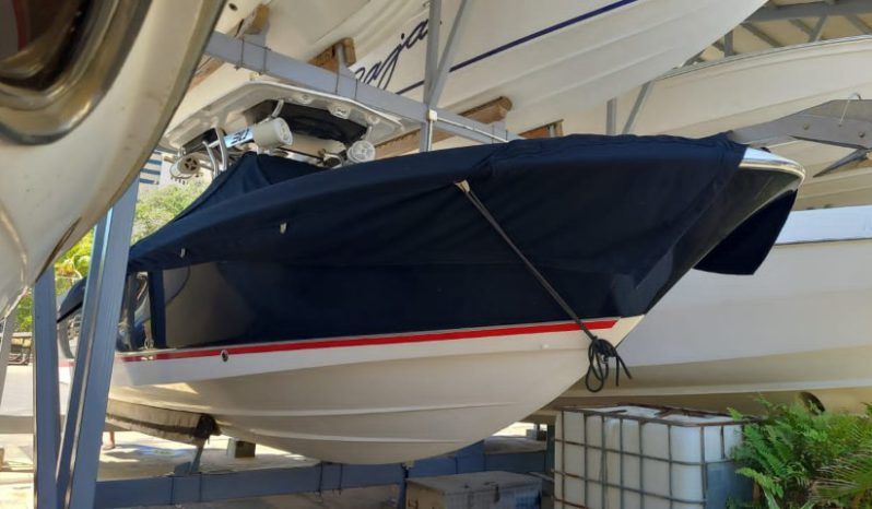
								WELLCRAFT SCARAB 30 full									