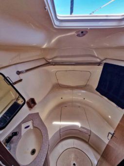 VELERO HUNTER 430 44 full