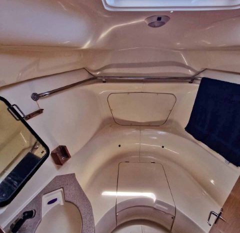 VELERO HUNTER 430 44 full