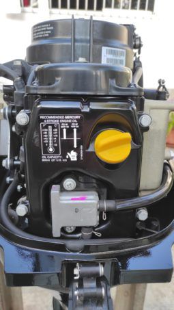 MOTOR MERCURY FOUR STROKE 9.9HP full