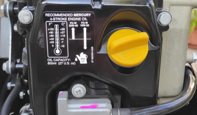 MOTOR MERCURY FOUR STROKE 9.9HP full