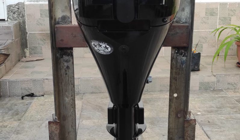 MOTOR MERCURY FOUR STROKE 9.9HP full