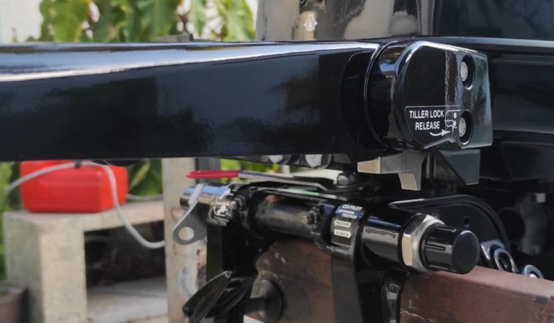 MOTOR MERCURY FOUR STROKE 9.9HP full