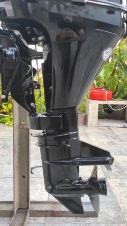MOTOR MERCURY FOUR STROKE 9.9HP full