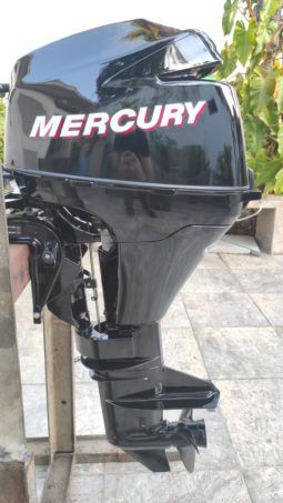 MOTOR MERCURY FOUR STROKE 9.9HP full