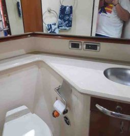 
										SEA RAY SEDAN BRIDGE 55 full									