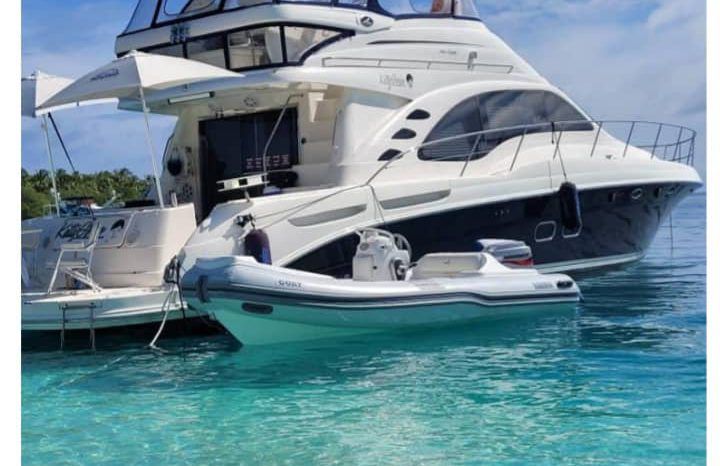 
								SEA RAY SEDAN BRIDGE 55 full									