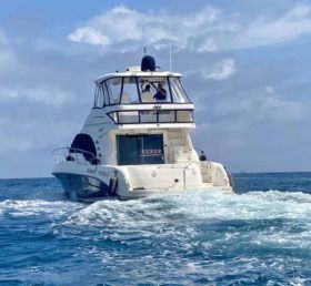 SEA RAY SEDAN BRIDGE 55