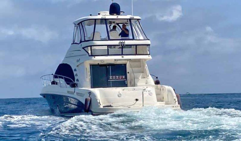 
								SEA RAY SEDAN BRIDGE 55 full									
