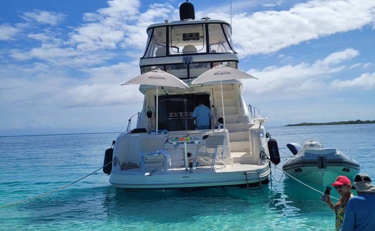 
								SEA RAY SEDAN BRIDGE 55 full									